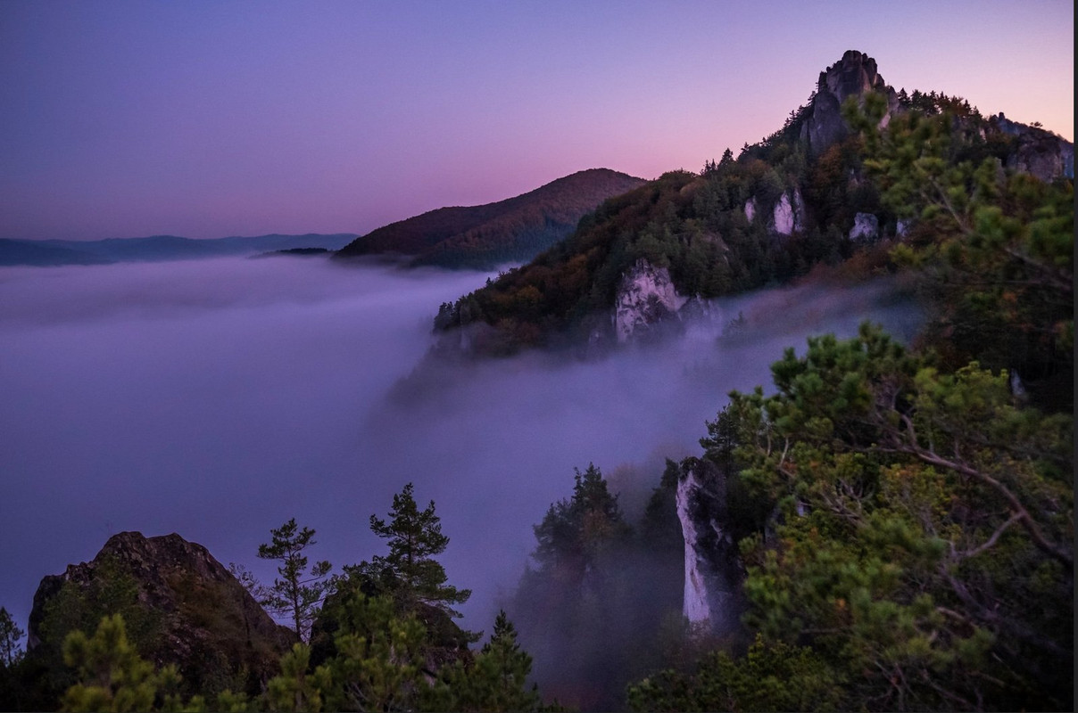 purple-fog.jpg