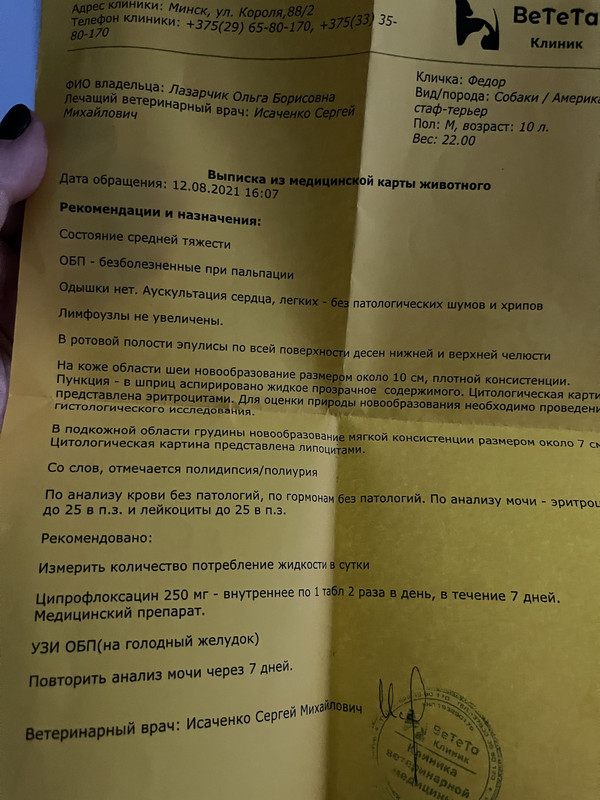 AB3EA706-5275-4CA8-8C94-5F23E8688445