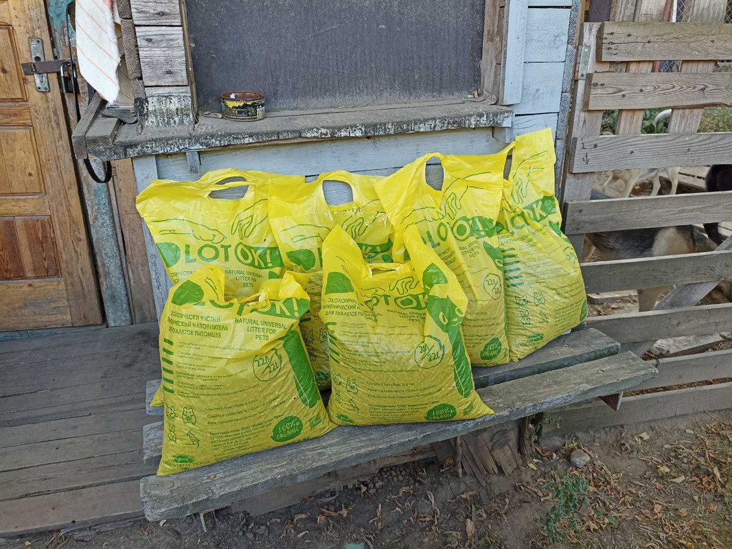 ������ ������ ��� ��������