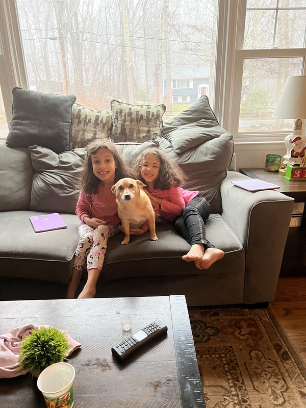 33C8F6D0-E312-48AB-BFC1-33B8E7C5A664