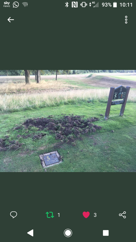 Screenshot_20180810-101157