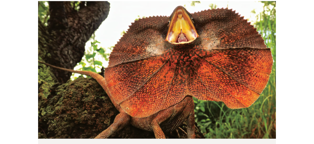 Screenshot 20260321 082756