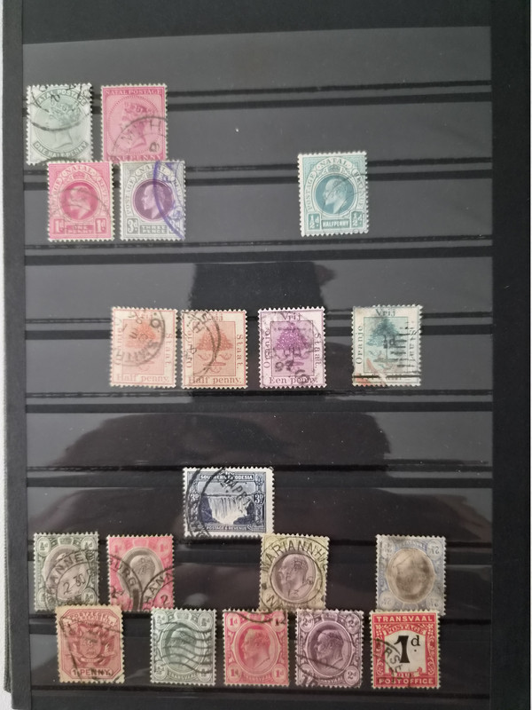 C1C80C43 38DC 4A0F BAE4 D72D8898154A