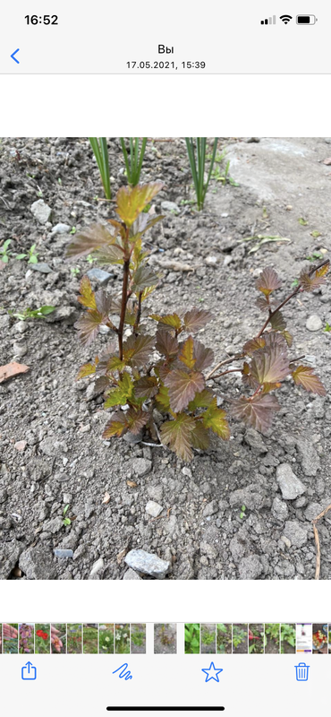 0195D594-0D7D-43CB-8C95-E2C323599A77