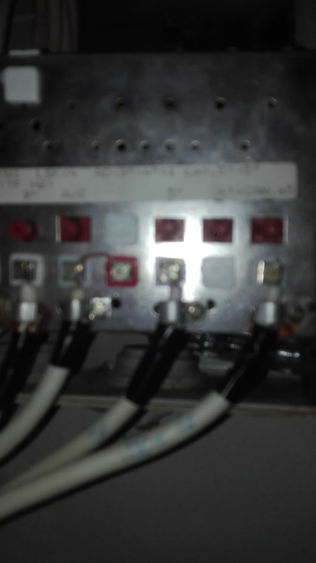 IMG-20250516-122303.jpg