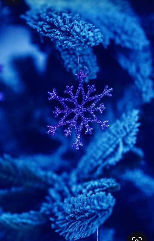 Screenshot_20240130_195059_Pinterest