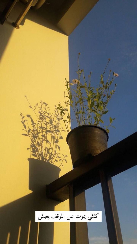 10C4104C-36BE-4051-82AF-969C3AFCECA1