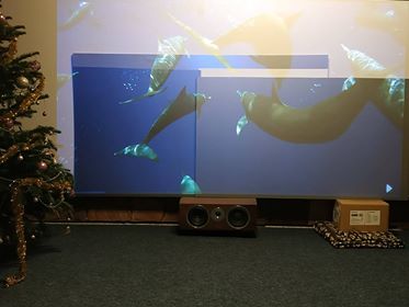 49730717_1414001465403915_6429944922652016640_n