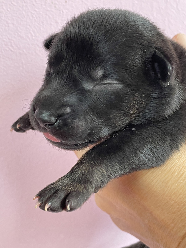 CB739611-C522-4ED2-9BA5-C952719FCFA9