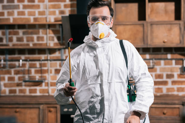 Termite inspection and protective treatment around a property