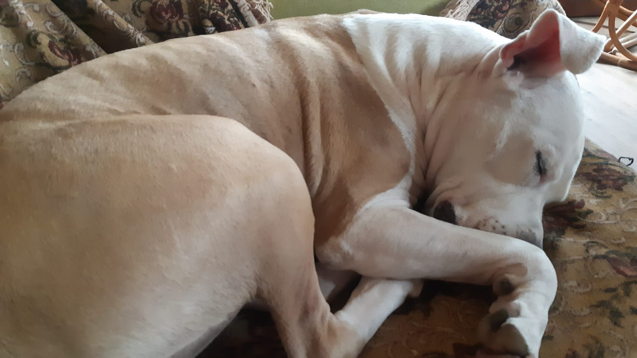 0675C043-89D4-4FBD-80E2-DBA07197A763