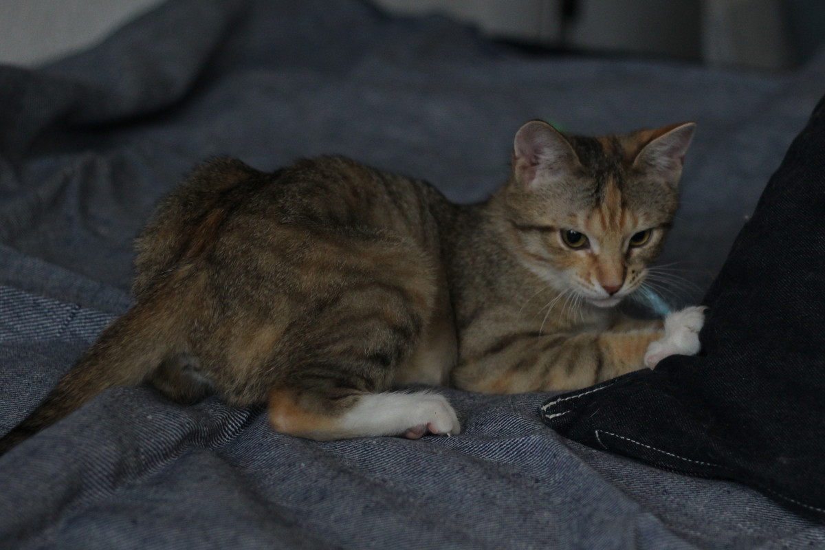 IMG_2328 — копия