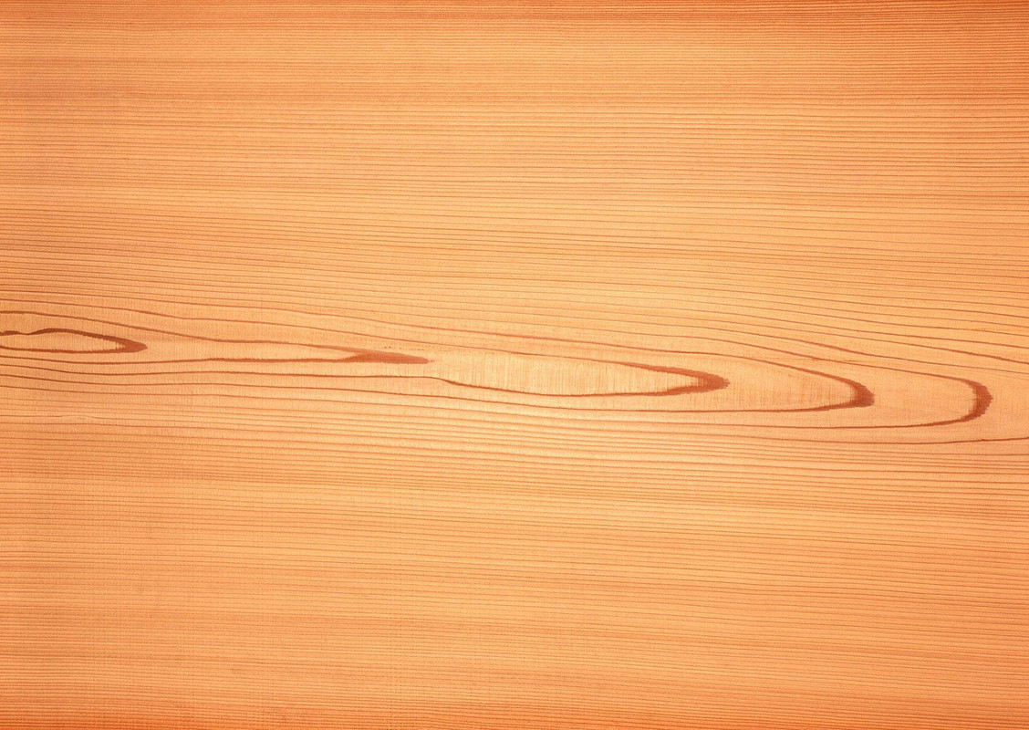 wood-texture-3dsmax (565)