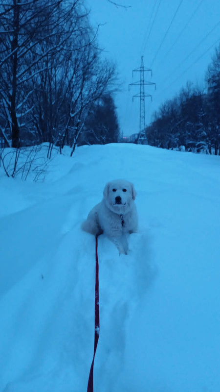 6EDF19BE-369F-4C21-8E40-0622BAC9EA6B