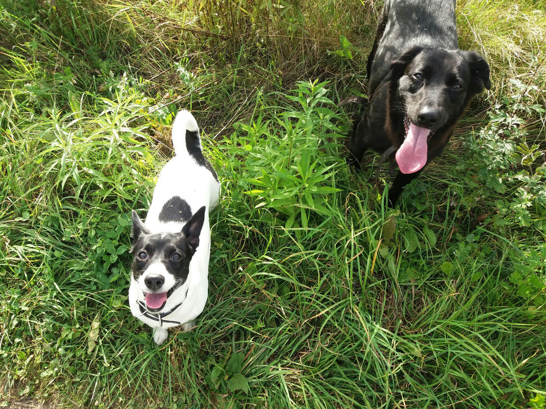 B8C75A99-0276-40F5-B35C-138627150090