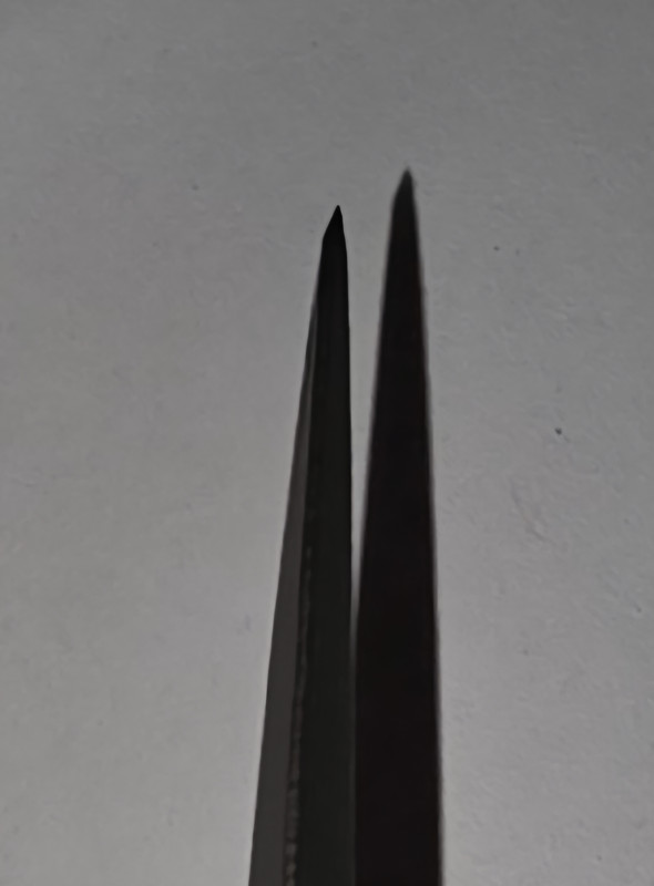 20250421-121201.jpg