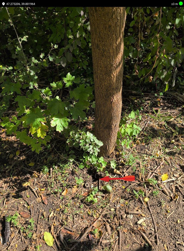 c9714394a322b6081a4bb799e31ec98a