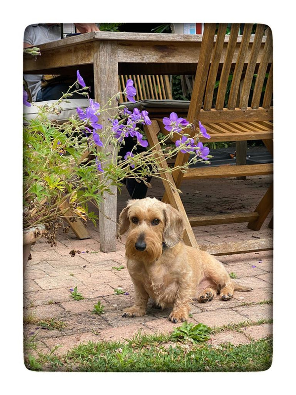 [Image: IMG-5262.jpg]