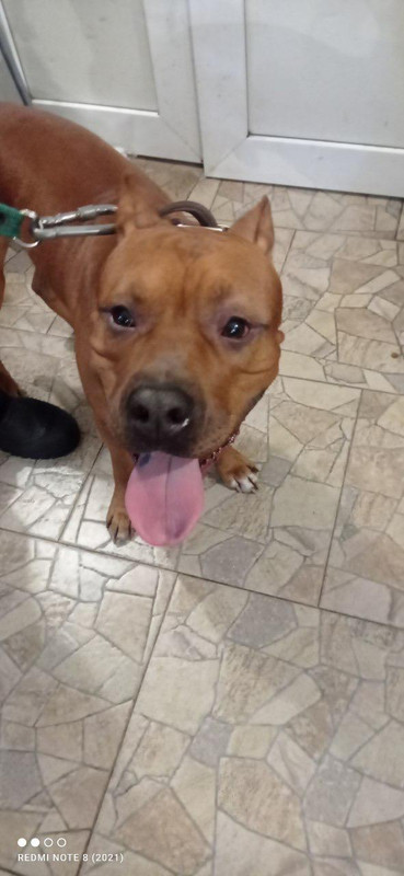 WhatsApp Image 2024-01-11 at 21.24.27 (2)