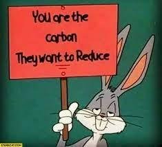 climate-bugs-you-are-the-carbon