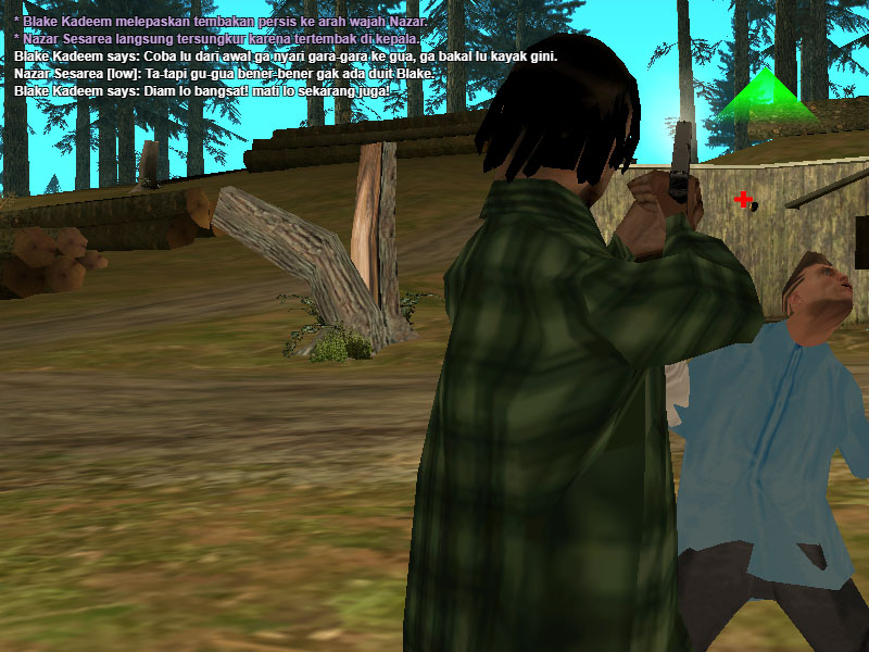 ssrp13.jpg