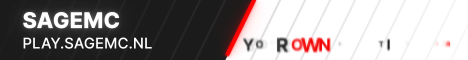 server banner