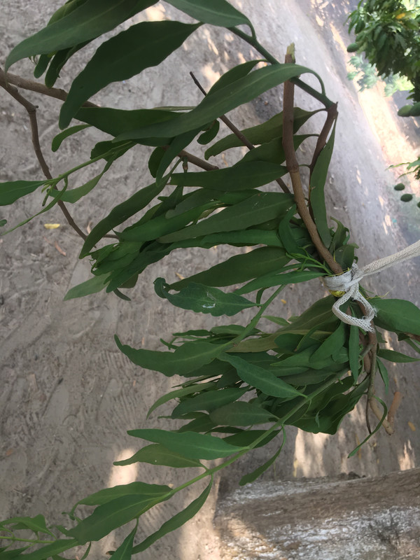 B7518F57-045C-4364-B332-AE5A003C4A8A