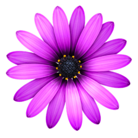 TextMate 2.0.19 macOS