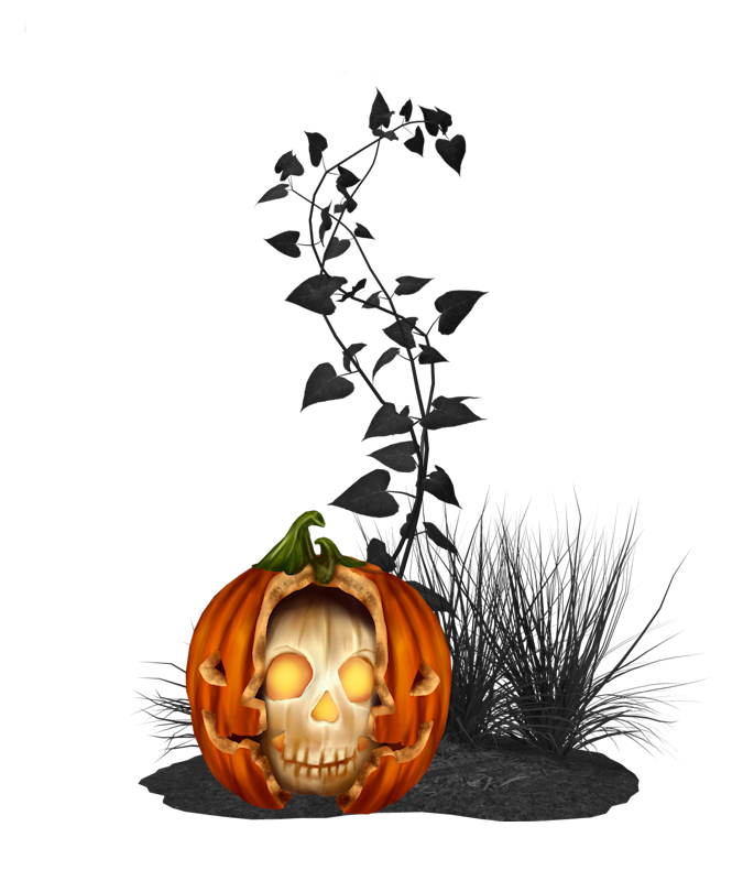 IPD_WP_Element (151)