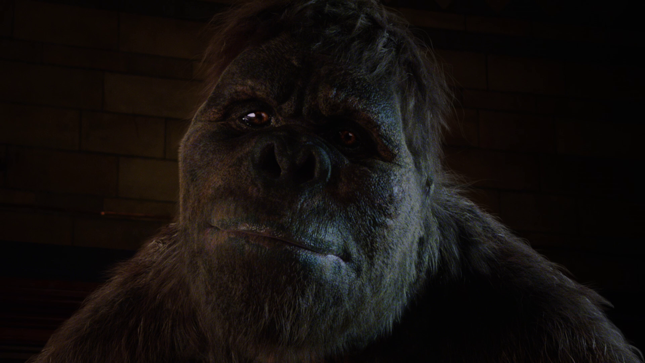 vlcsnap-2024-08-12-20h08m07s780