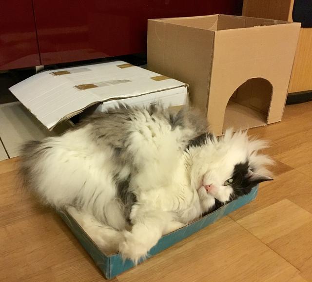 284949-D0-4-A87-4851-9931-C9-D3-E8656-F2