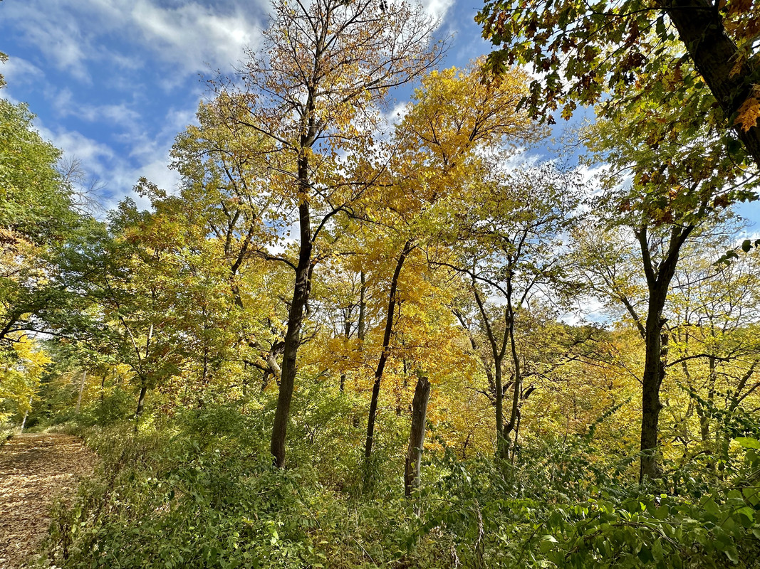 00373A12-C637-41A0-8E47-89F81D913015