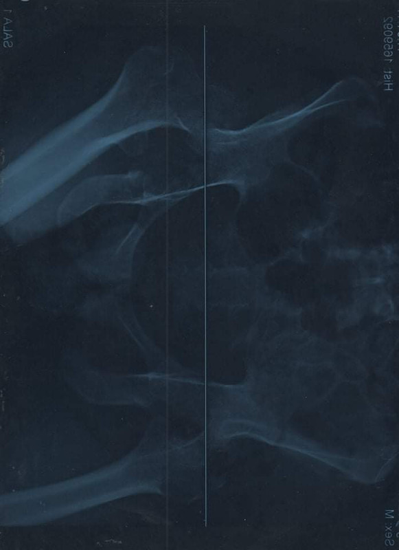 received_1157696761410041