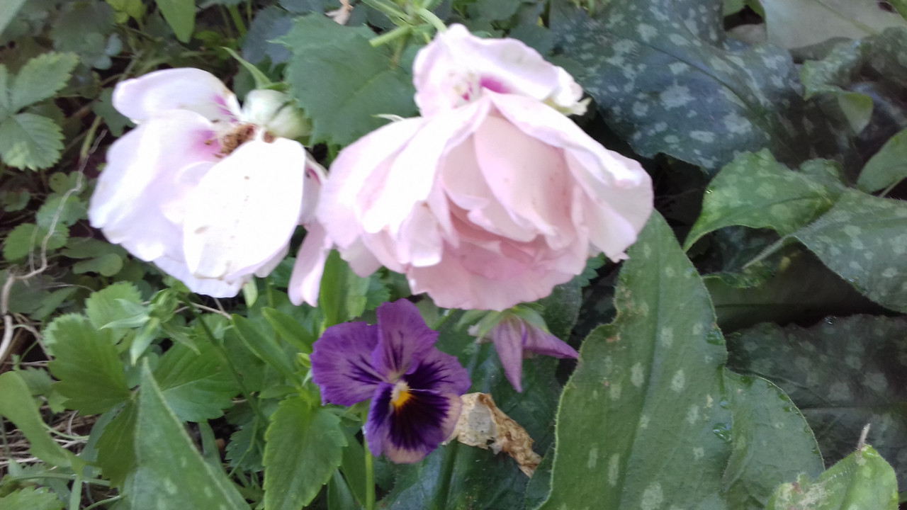 20190719_080855