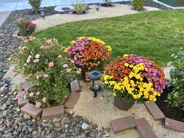 [Image: IMG-1277.jpg]