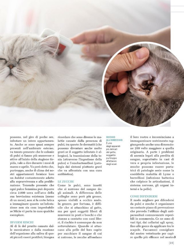 Ga Ma Ago-Set 2024 (4)