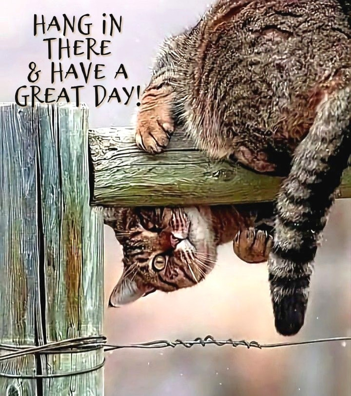 634539754-924679163546756-6502491815372795709-n