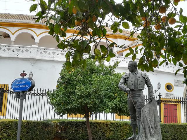 Sevilla, bajo la lluvia de otoño - Blogs of Spain - Día uno: Llegada y paseo por la judería (2)