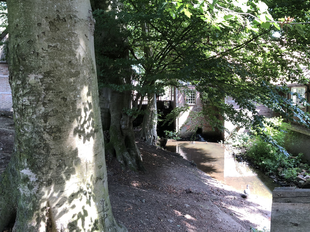 IMG_2496_Molen van Bels Mander 2