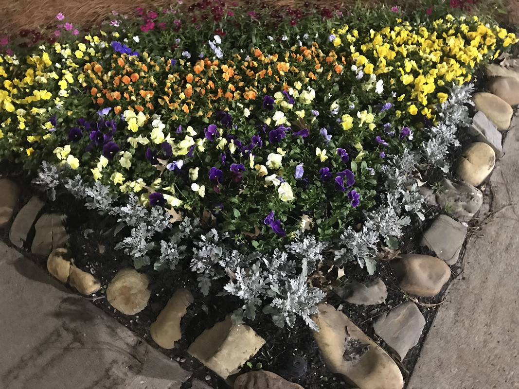 14AE88B6-415F-4219-A7DE-E0138BDBC627