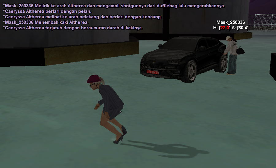 SS-an-cae-11.png