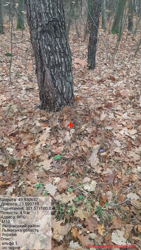 74c2ff20ea66689eca70bbdb6f4c047c1206