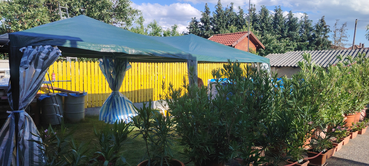 IMG 20260614 172642