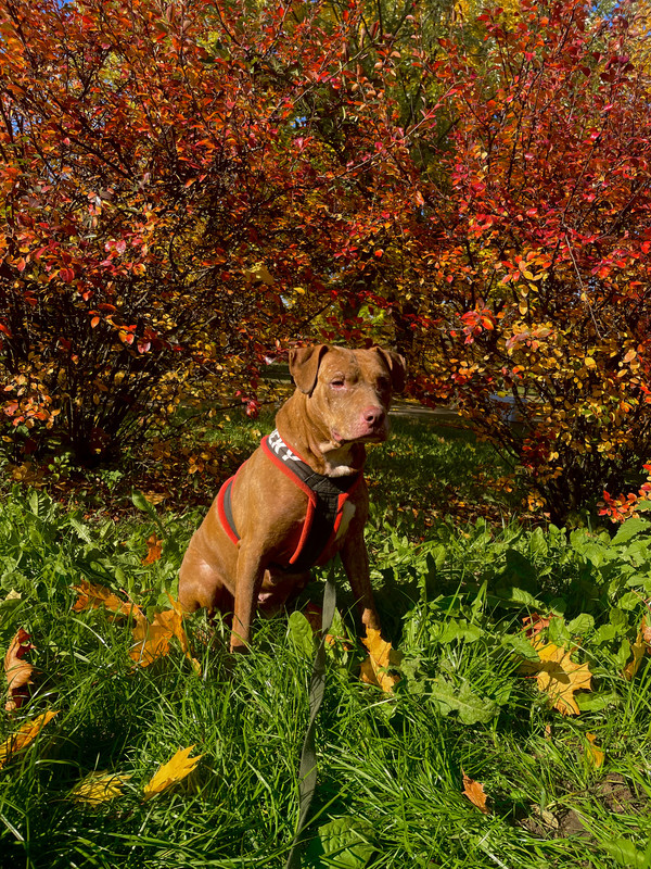 92E4FB98-7AAB-4995-B33C-471F559A792D