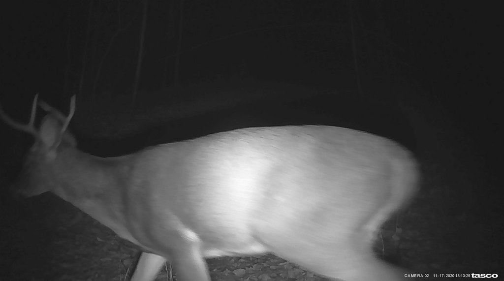 66B49BCE-9591-49D5-837B-77B4806DE079