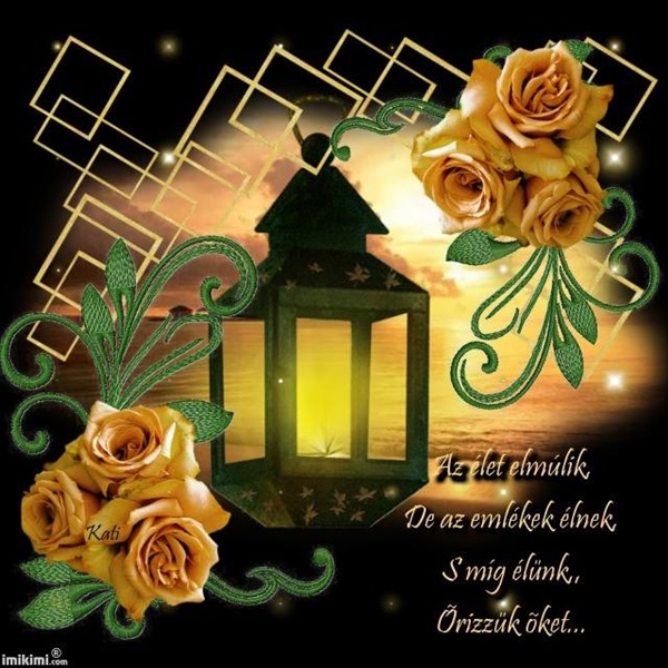 10628331_519415024825582_6353863542215839012_n