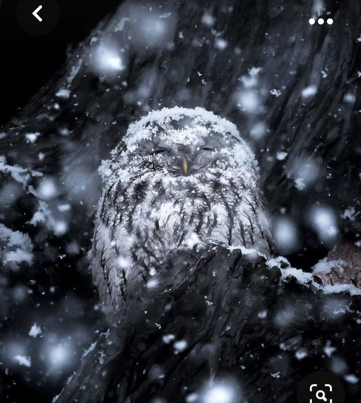 Screenshot_20231024_134543_Pinterest