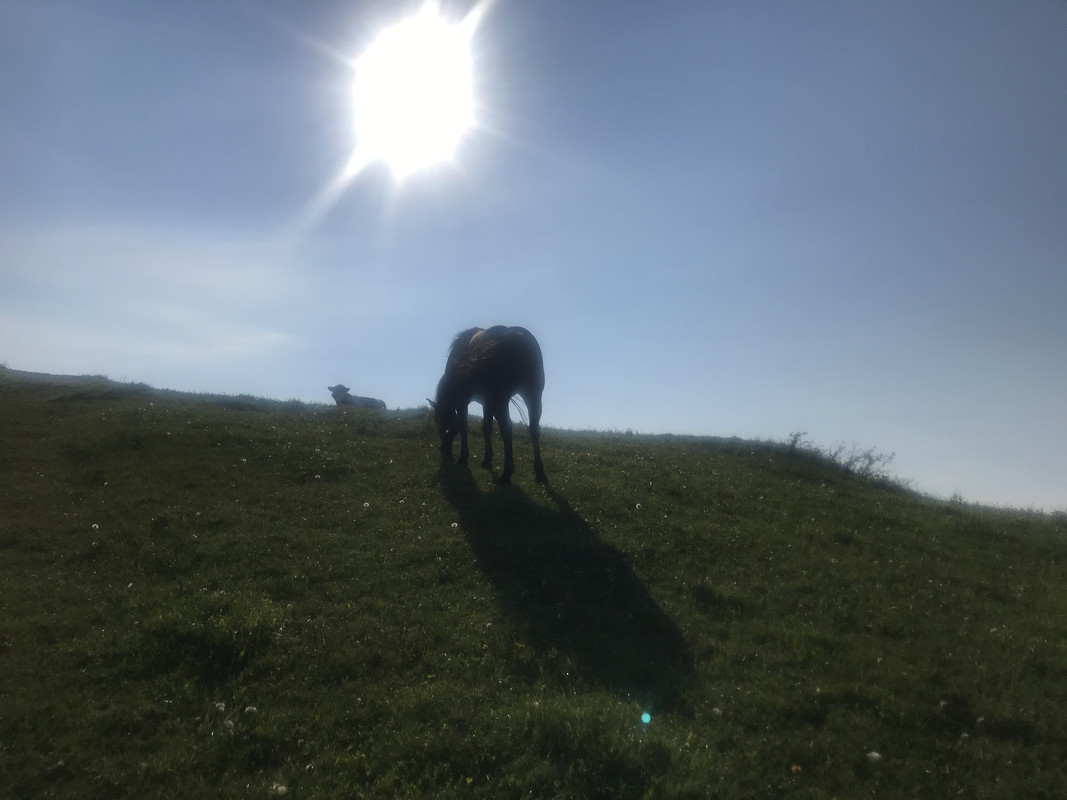 72D20729-60C1-4529-AA6B-EB54FF26F1E7