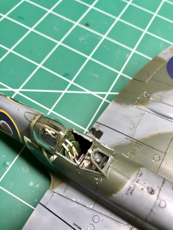 46625640101_b3bd4932ca_o