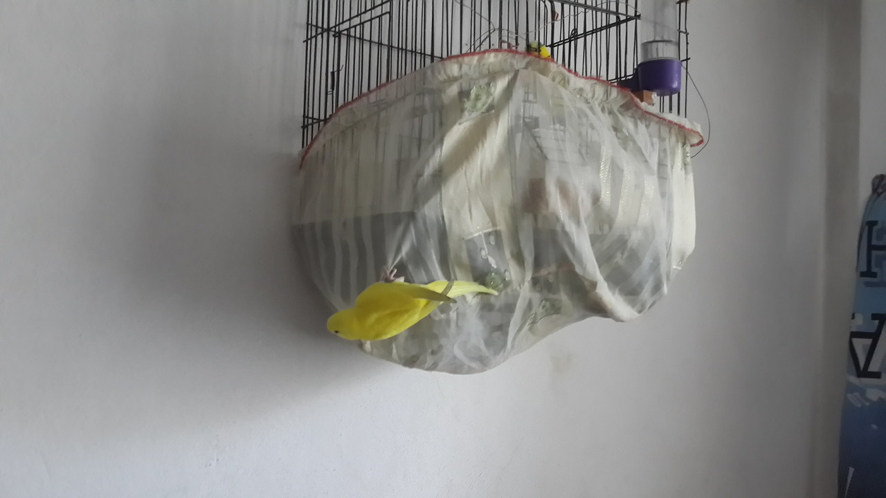 20180513_161419